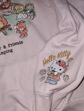 Adult XL Hello Kitty Light Pink Hoodie with Gold Accent